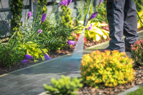Best Animal Enclosure Cleaning  in Big Pine Key, FL